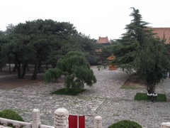 PICT0328.JPG