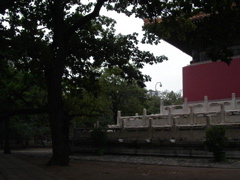 PICT0330.JPG