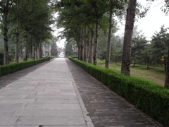 PICT0331.JPG