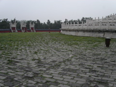PICT0339.JPG