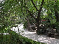 PICT0345.JPG