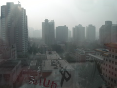 PICT0346.JPG