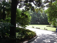 PICT0105.JPG