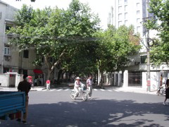 PICT0106.JPG