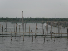PICT0125.JPG