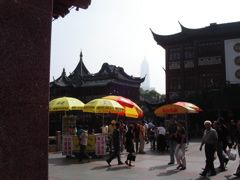 PICT0038.JPG