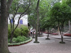 PICT0135.JPG