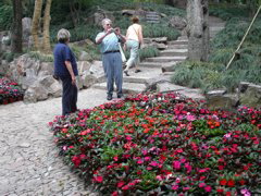 PICT0137.JPG