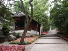 PICT0138.JPG