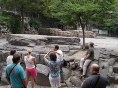 PICT0142.JPG